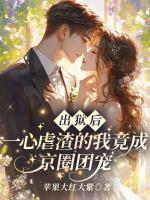 苏榕盛祁夜