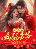 叶瑾夜北