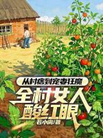 江辰沈如玉