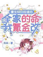 沈晚陆琛淮
