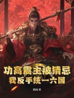 林羽赵桓