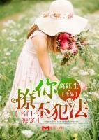 安慕希厉时御