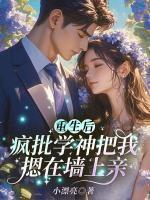 林晚星宋贺书