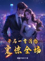 夏初一沈翎昭