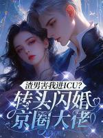 沈听禾墨青寒