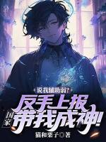 苏启张志