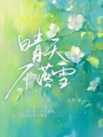 江晴笙岑淮予