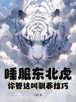 苏元张小云