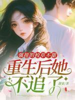 苏言曦孟九砚