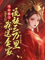 陆清欢颜锦书